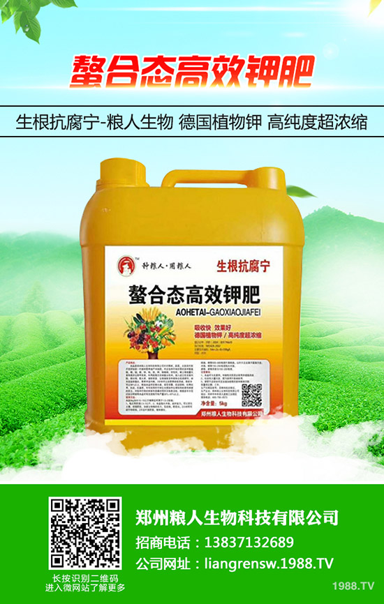 金銀花如何施肥，金銀花高產(chǎn)施肥要點(diǎn)！