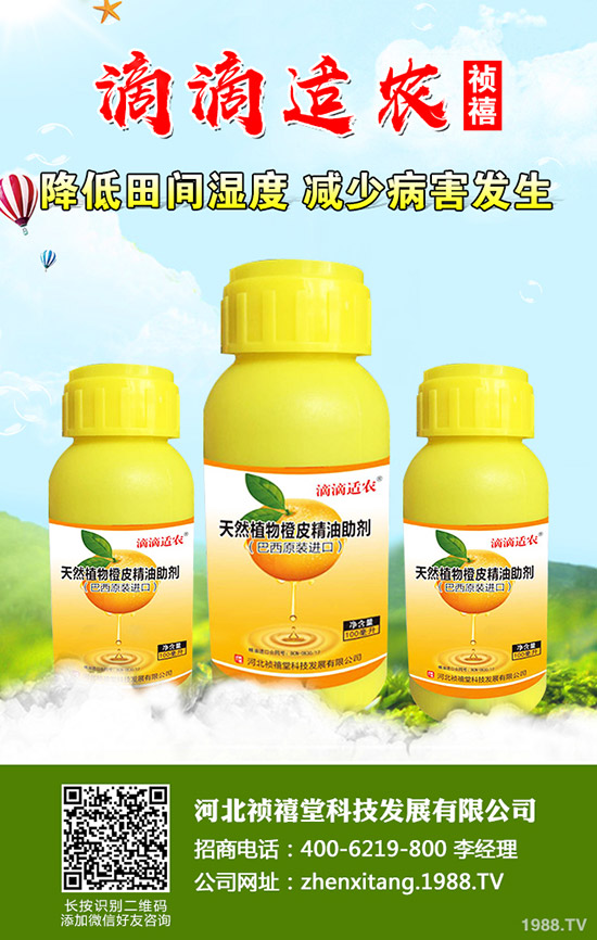 �＾��ݮ��ι������ܸ߮a(ch��n)���＾��ݮ��ֲ�������g(sh��)��