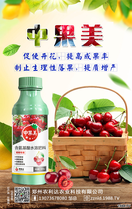 ��ʲô�r��N�Nֲ���𽷷NֲҪ�c��