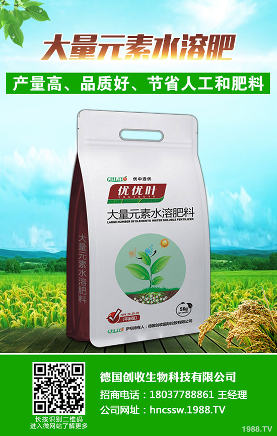     ���Շ���(n��i)���@�r(ji��)�������߄��A(y��)�y�C���u��2019��9��18��