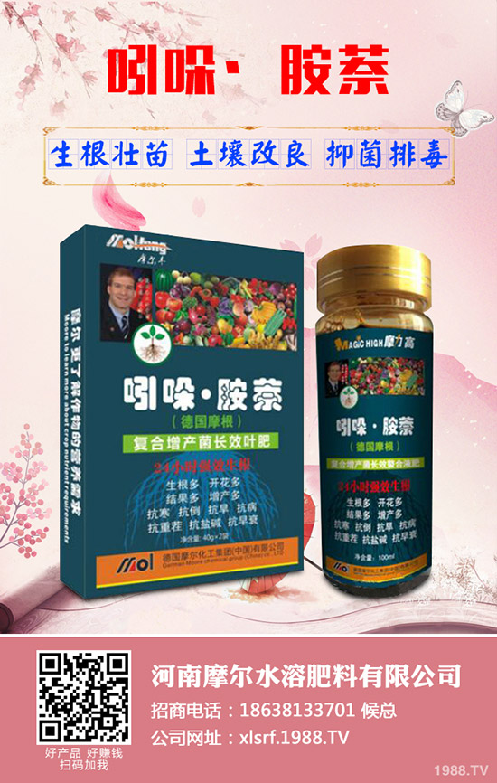 蓮藕怎樣才能高產，蓮藕的高產管理技術