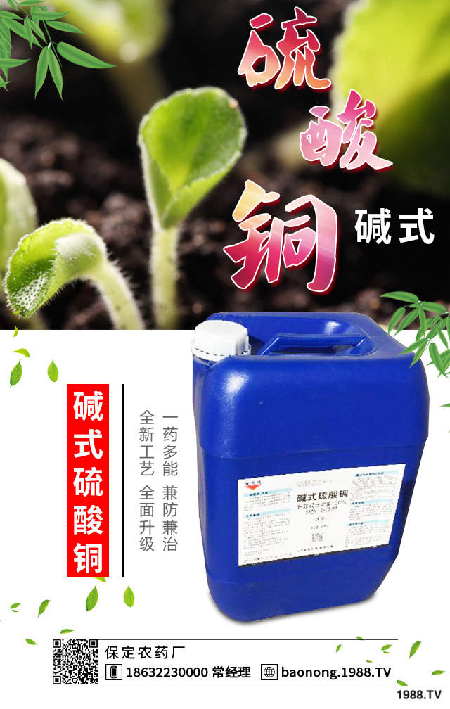 白菜軟腐病怎么辦？白菜軟腐病防治技術(shù)