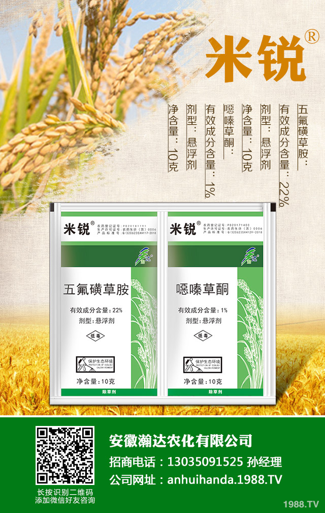 水稻田除草劑怎么選？水稻田除草劑選用技巧