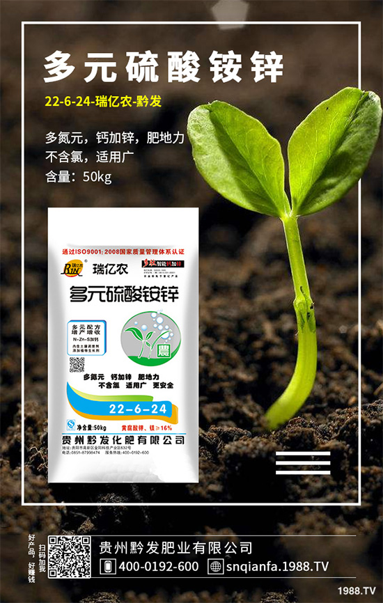 �n��ԓ����������n�����ڹ������g(sh��)Ҫ�c(di��n)