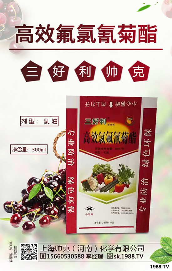 辣木樹的種植前景如何，如何種植辣木樹？