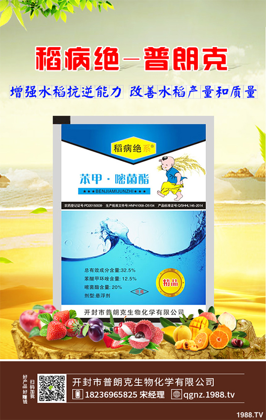     ���˚������r��