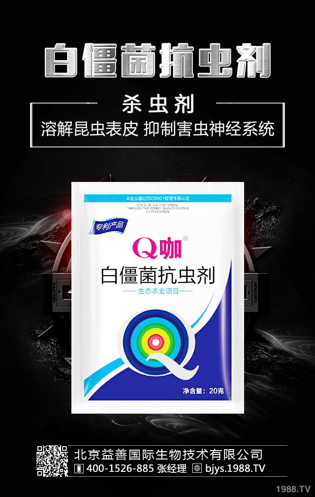 �¼����x����ô�������¼����x�����μ��\