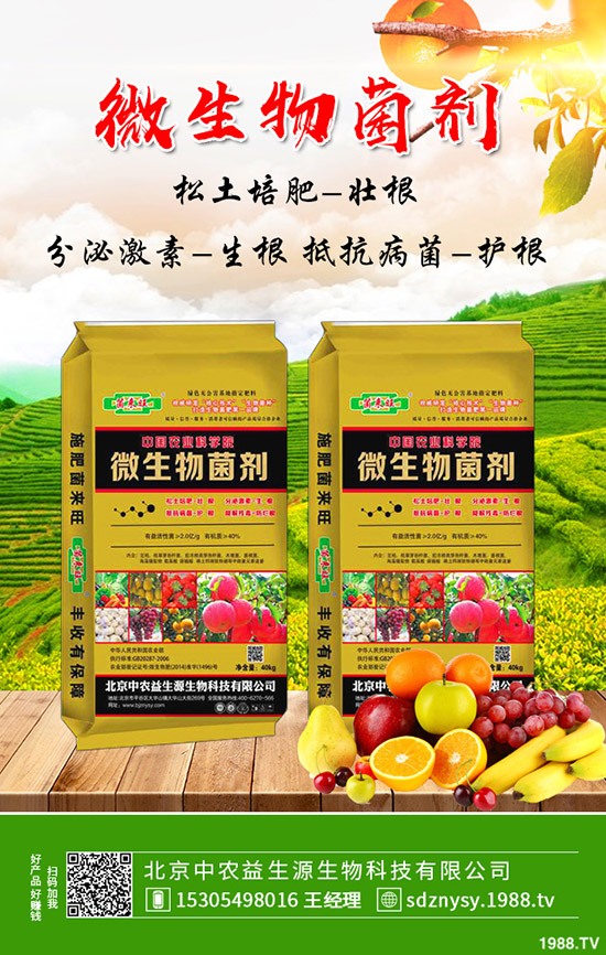     大棚芹菜常見病害及蟲害有哪些？防治措施及藥劑使用推薦！