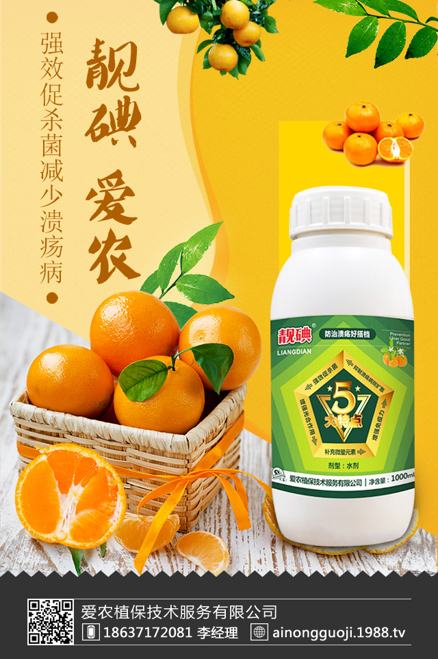 柑橘潰瘍病怎么防治？柑橘潰瘍病防治技巧