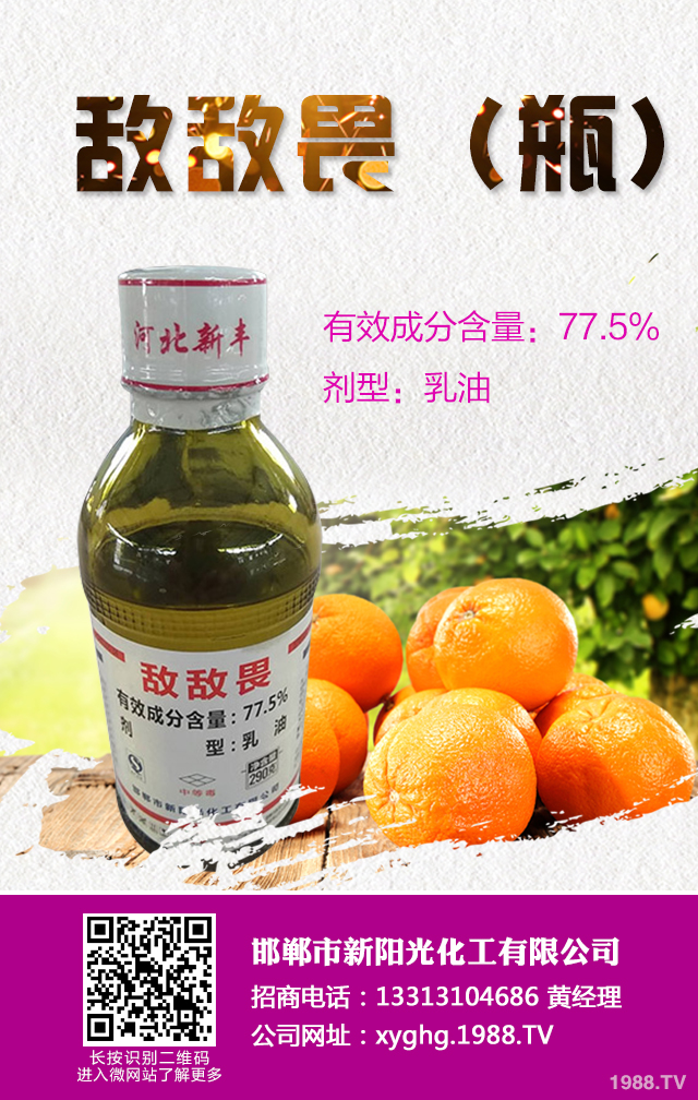 柑橘紅蜘蛛怎么防治？柑橘紅蜘蛛有效防治技巧