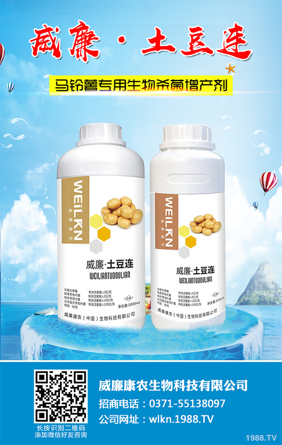 �㶹����������ЩΣ�����F(xi��n)��ԓ���ӷ������㶹���������η���