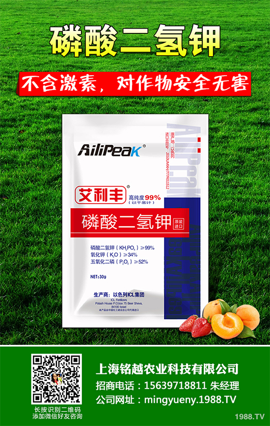 �㶹����������ЩΣ�����F(xi��n)��ԓ���ӷ������㶹���������η���