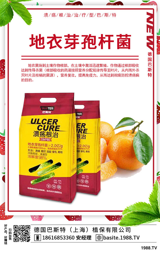 �t��̦��ô�N���t��̦�ķNֲ�r(sh��)�g���Nֲ������