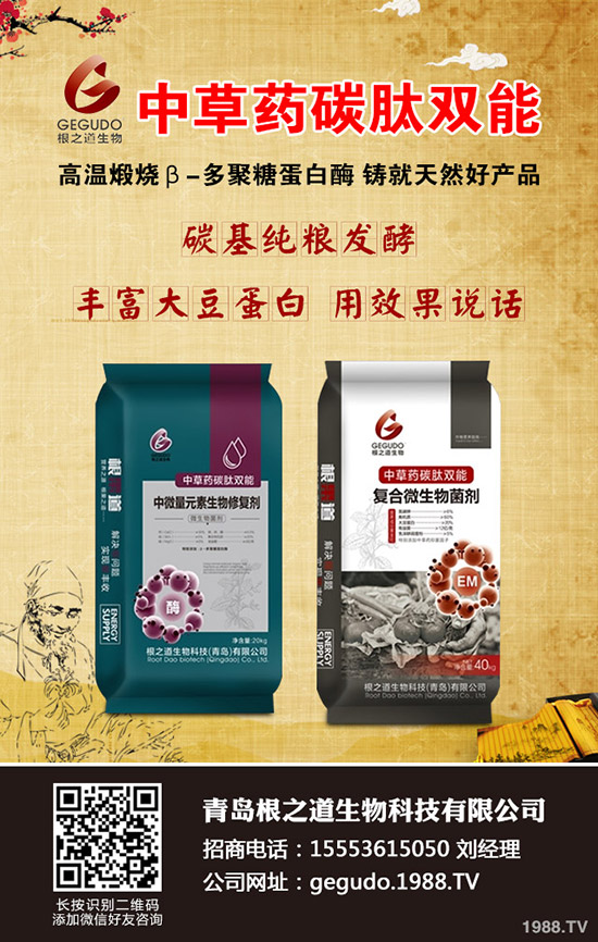     柑橘十月有什么管理注意事項？怎樣管理？柑橘10月管理指導(dǎo)建議！