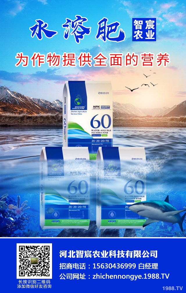 ��������������η����������綬���������g(sh��)