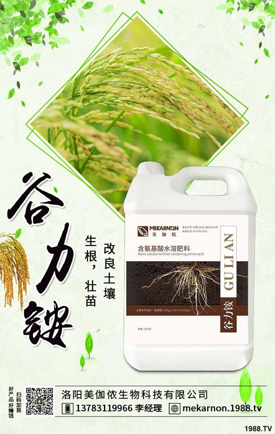 茼蒿該怎么播種？茼蒿高產(chǎn)種植管理方案
