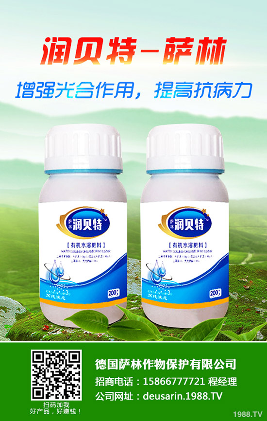 生姜的種植時(shí)間，生姜高產(chǎn)種植技術(shù)！