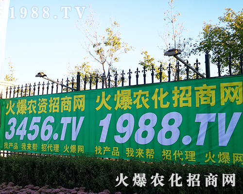 2019�L(zh��ng)����ʮ���Ö|����ʡֲ����(hu��)�����r(n��ng)�����̾W(w��ng)ȫ���Ը���