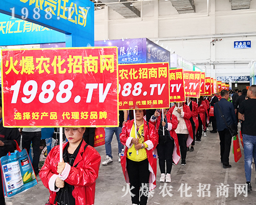 2019�L��ֲ����(hu��)�����r(n��ng)���W(w��ng)�����ƏV��(sh��)���ɓ���