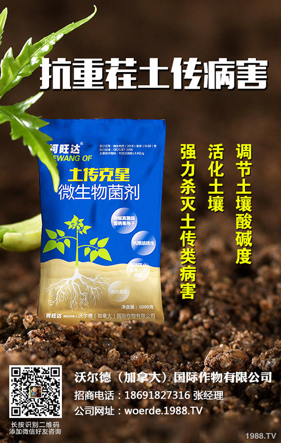 茄子什么時(shí)候育苗，茄子育苗的方法有哪些？