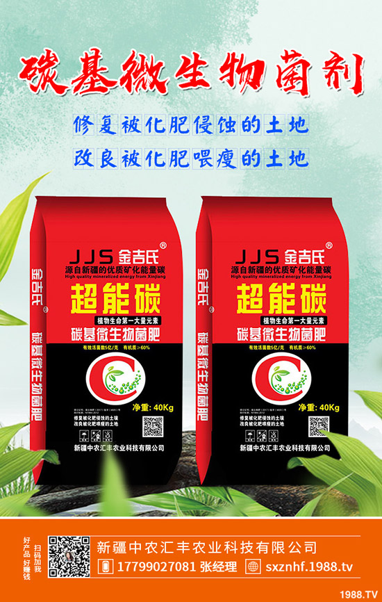 木瓜怎么種植效果?學(xué)會這幾點(diǎn),輕松大豐收!