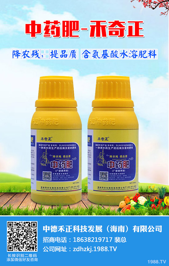 ��z��������࣬��z�ϷNֲС������