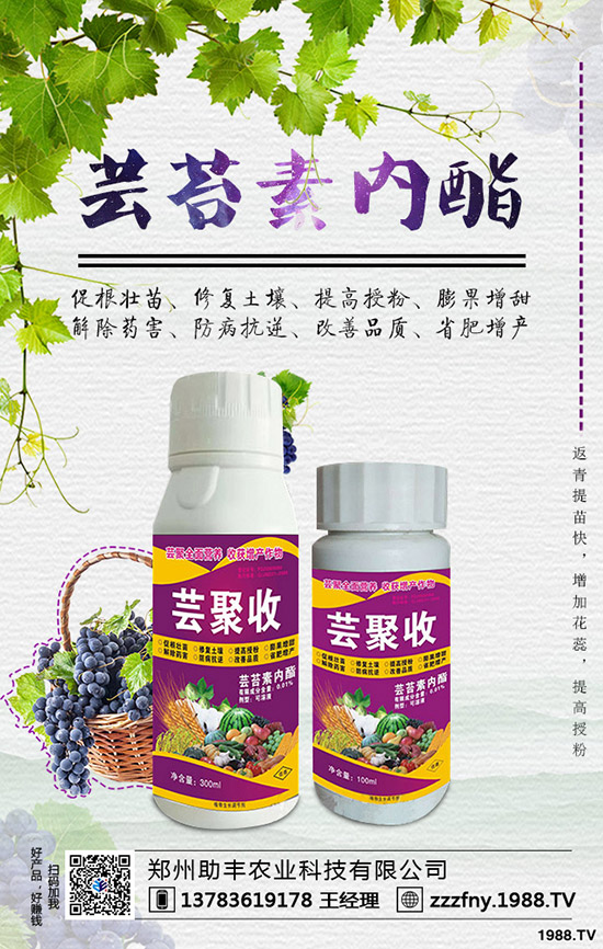 �J�������ժ�����J����ժ����ʲô��̎��