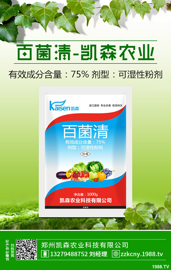 板栗樹種植后怎么管理？板栗種植的管理技術(shù)！