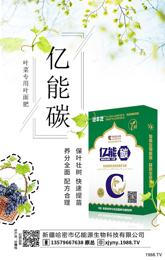 板栗樹怎么種植,板栗高產(chǎn)種植要點(diǎn)!