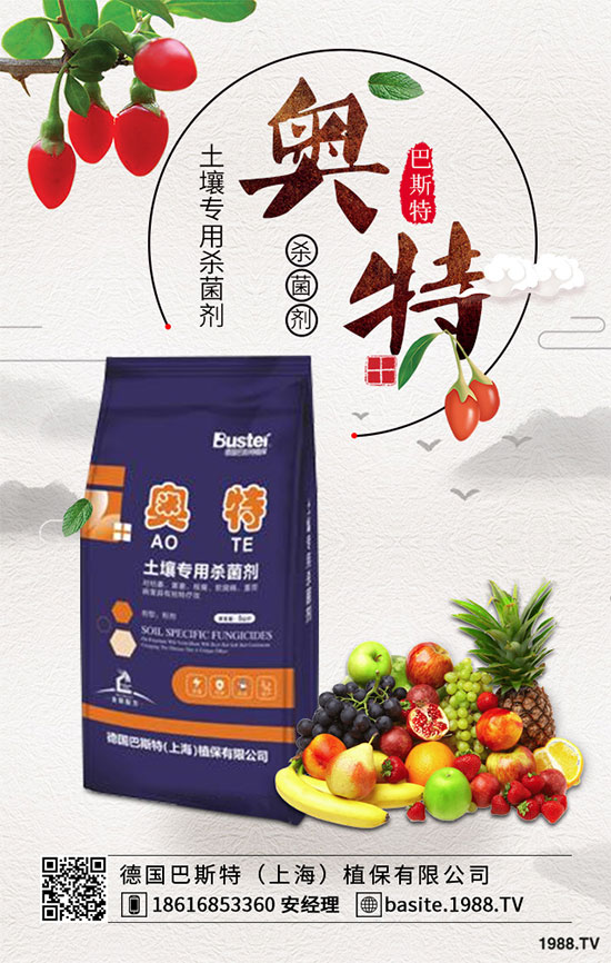 花椰菜出現(xiàn)“散花”怎么辦？花椰菜散花預(yù)防措施！