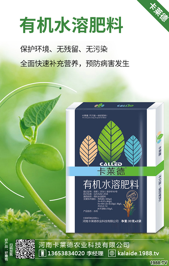 綠蘿長得太長怎么辦，綠蘿的修剪方法有哪些？