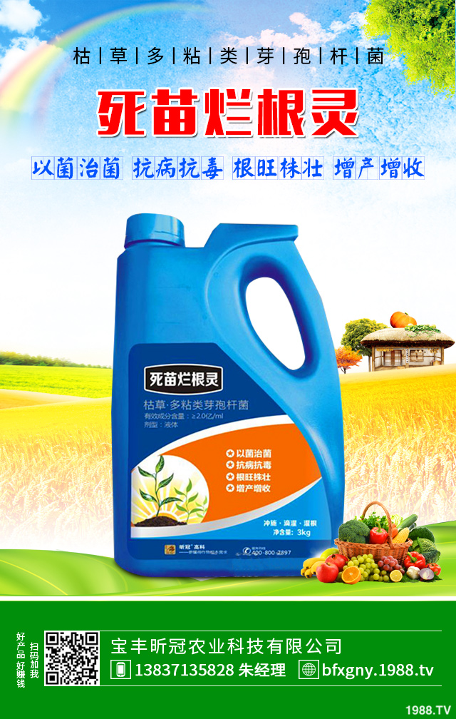 �۲˺��ĸ�����ô���Σ��۲˺��ĸ���Ҫ���Y����