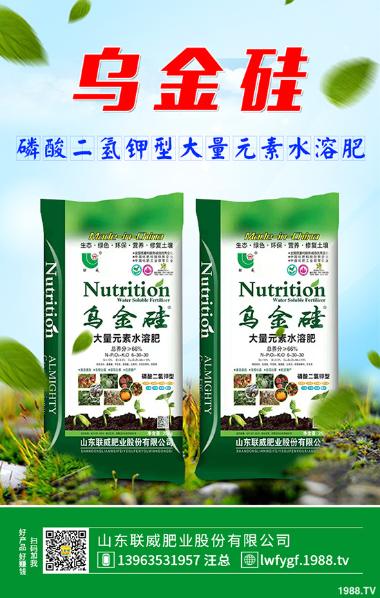     2019��9��3�ս��ն��@�����Ј��r(ji��)������C���u(p��ng)�y