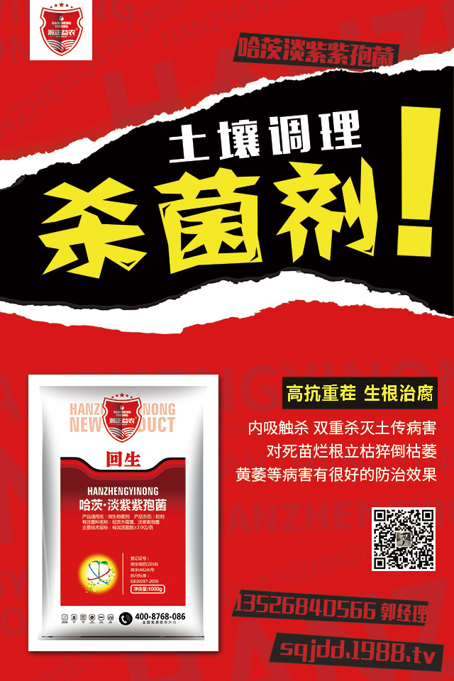 ���[��������������[�������μ���