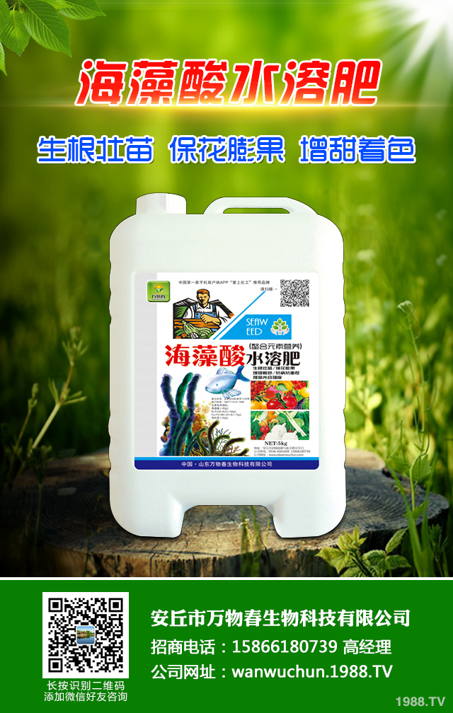 �ﲥС����ô����|(zh��)�����ﲥС������|(zh��)����Ҫ�c