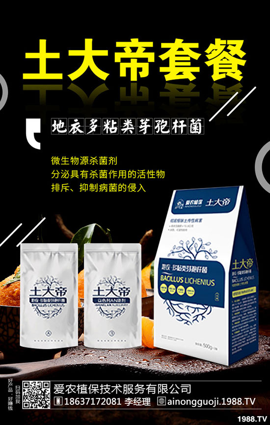 ���·ݿ��ԷNʲô�߲���2019��9���߲˷Nֲָ��!