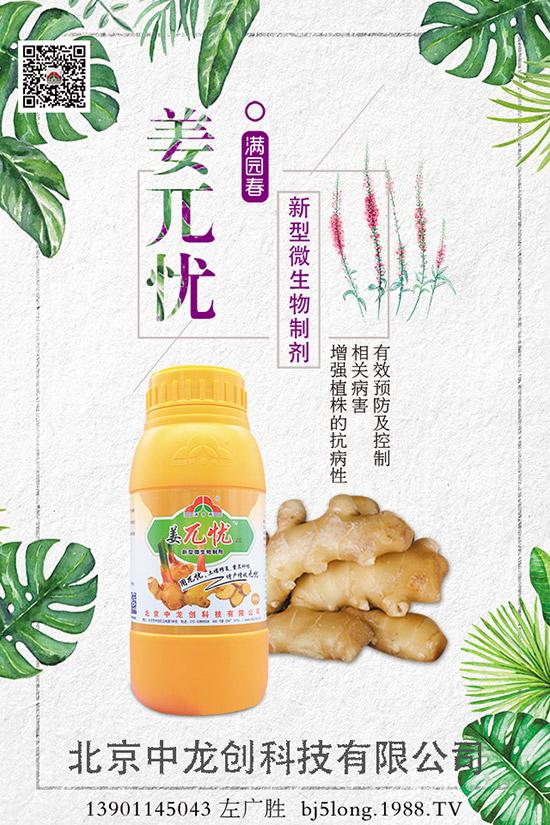 ����ʩ�ʵķ�������Щ�����ʩ�ʲ��ܸ߮a������ʩ�ʼ�����