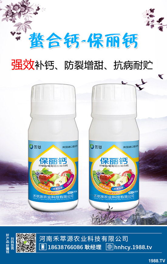 木耳菜怎么種，木耳菜種植時間和種植方法！