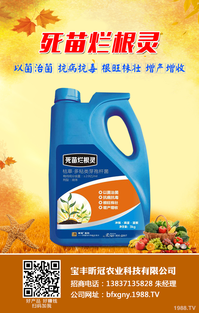 ���㶹������ô�k�����㶹������Ч���μ���