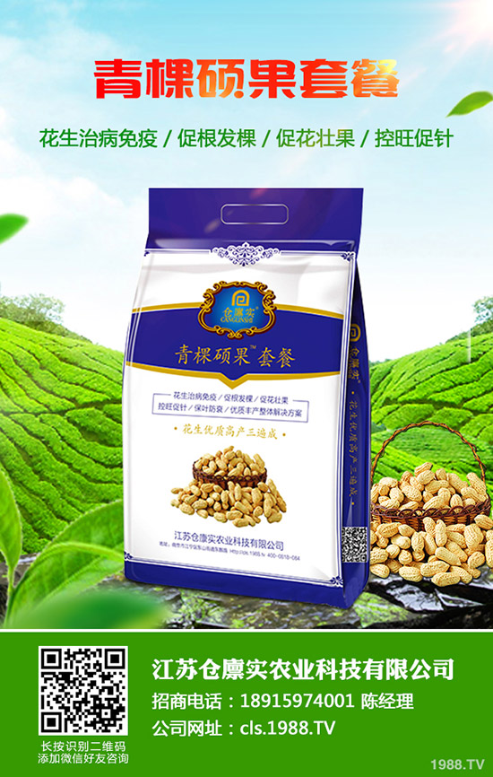     2019��9��4�ս��ڇ���(n��i)���؃r(ji��)�������߄��A(y��)�y�C���u(p��ng)��