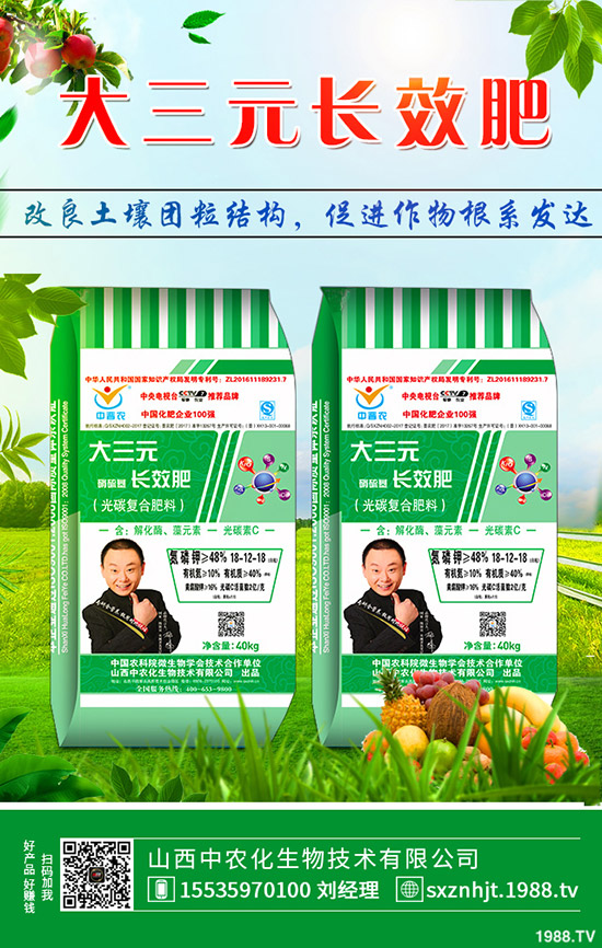     秋季大蔥如何管理？秋季大蔥種植管理方法及技術(shù)！