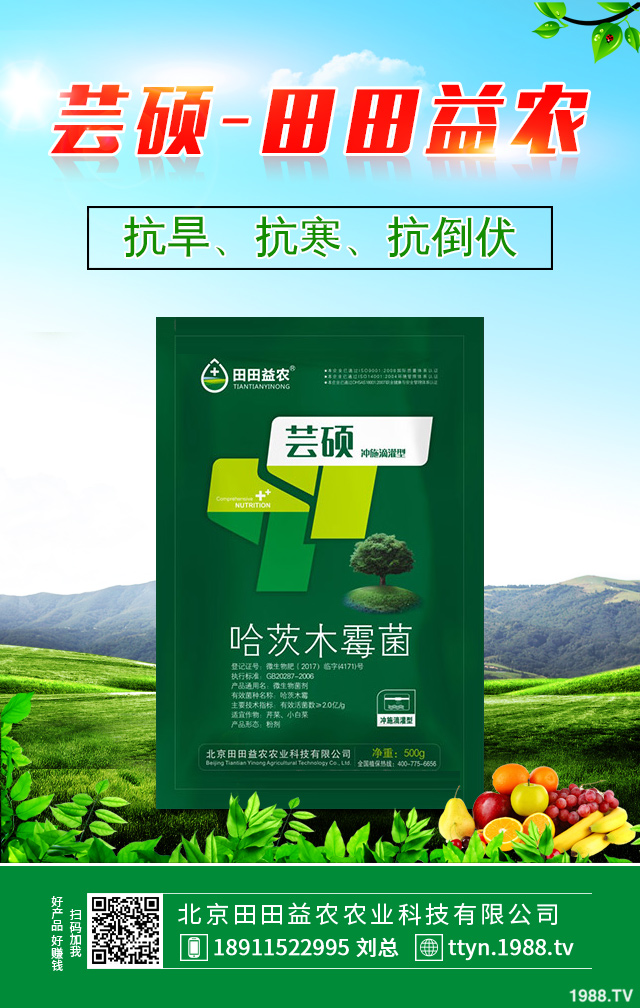 冬季柑橘如何防凍？冬季柑橘防凍技巧