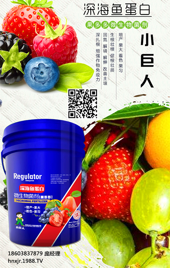 �t����ô�Nֲ���t���Nֲ�ĸ߮a����Ҫ�c 