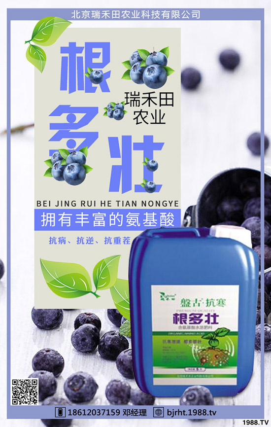 西紅柿什么時間種植，西紅柿種植技巧