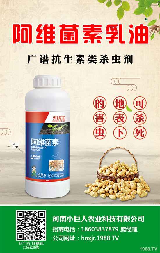 ���ݚ��x���r��