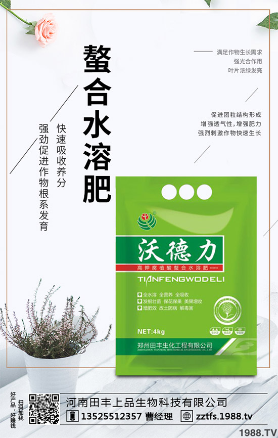 卷心菜有哪些營養(yǎng)價值？吃卷心菜有哪些好處？教你吃出健康！