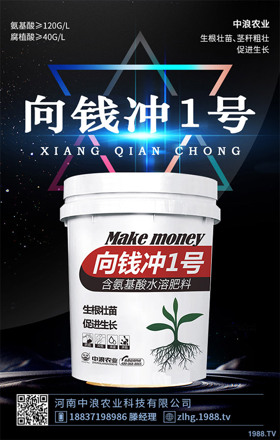 露地卷心菜什么時候種植？露地卷心菜種植技術(shù)大全