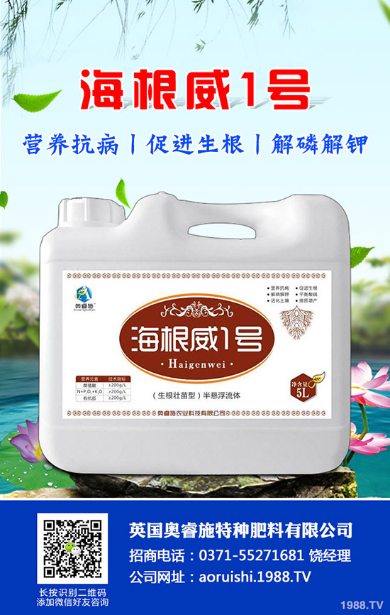 吃芋頭有哪些好處，芋頭的營養(yǎng)價值及食用禁忌！