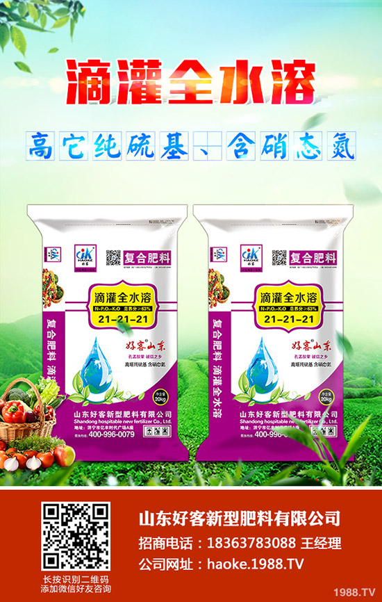 甜瓜怎樣管理,甜瓜高效管理栽培!