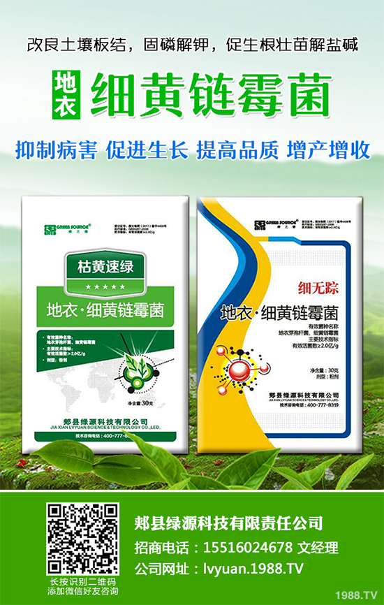 ���·Nʲô�߲˱��^����2019��9���߲˷Nֲָ��